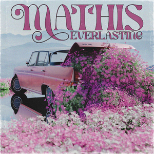 成人免费观看一区二区
