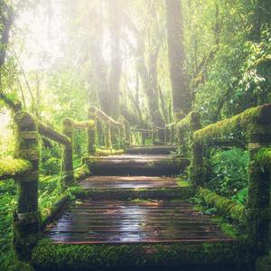 成人免费观看一区二区
