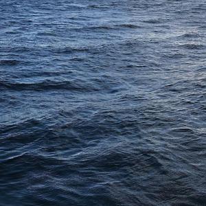 成人免费观看一区二区
